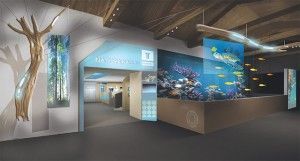 The unique interactive exhibition center “Navarino Natura Hall by Hellenic Postbank” in Costa Navarino was officially presented in Athens last month.
