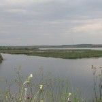 Vistonida Lake is ideal for birdwatching.