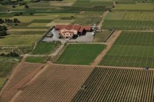 Aerial overview of Alpha Estate.