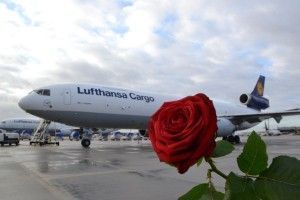 Lufthansa_roses