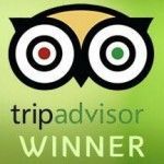 tripadvisor_logo_winner