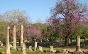 Ancient Olympia. Photo © Wikimedia Commons