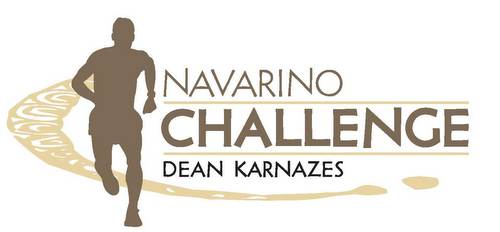 Navarino Challenge logo