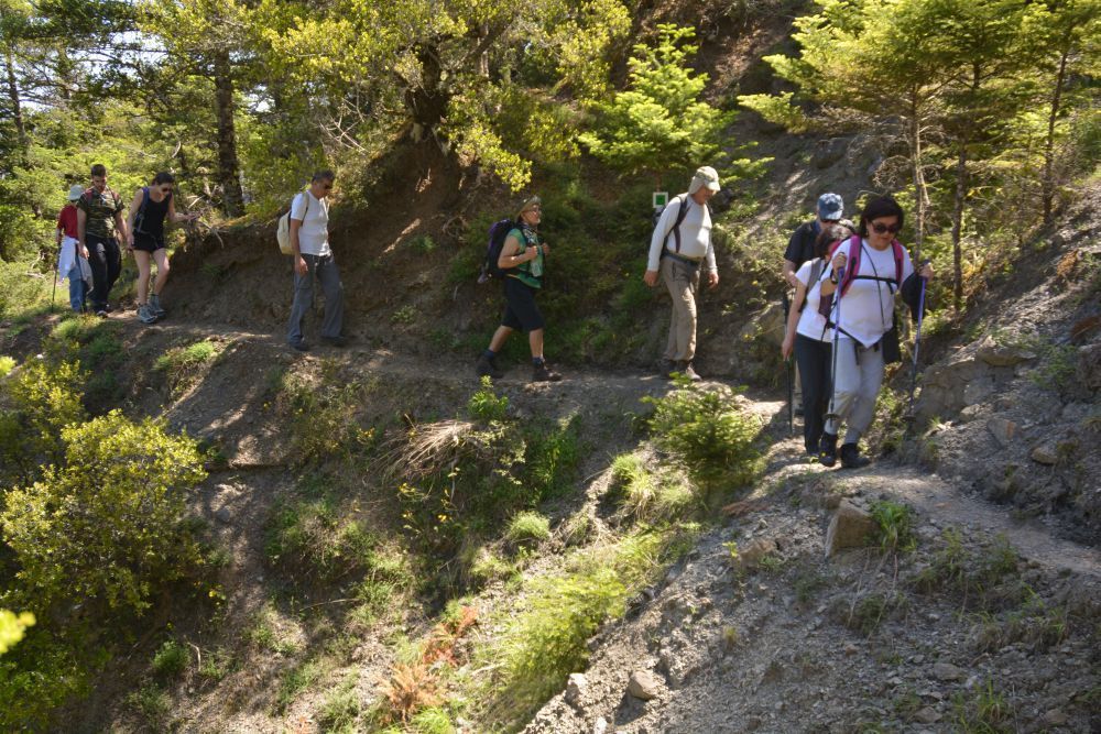Part of the Menalon Trail, Greece’s first officially certified footpath..