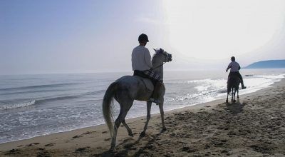 Horse riding on Crete. Photo Source: Incredible Crete (www.incrediblecrete.gr)