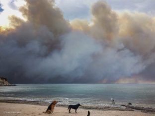 Thick smoke looms over Marikes Beach in Rafina, 26km west of Athens, as wildfires fanned by gale force winds ravaged the coastal resort towns of northeastern Attica.