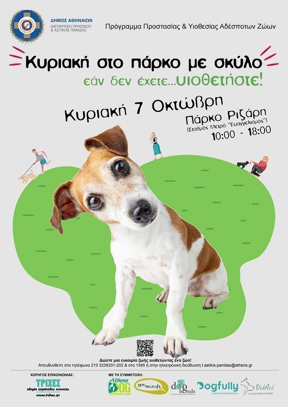 Athens Marks World Animal Day with Call for Love | GTP Headlines