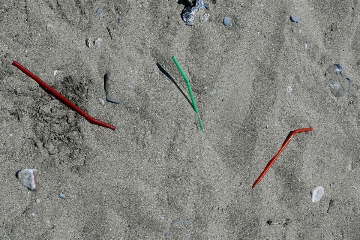 Single-use plastic waste on the beach in Greece. Photo source: WWF / © Milos Bicanski WWF-UK