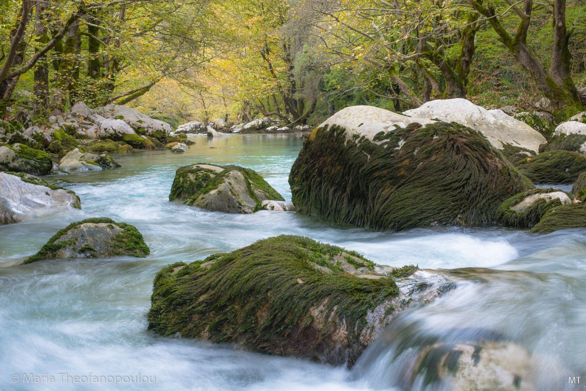 The springs of Voidomatis located near the Vikos village in central Zagori.