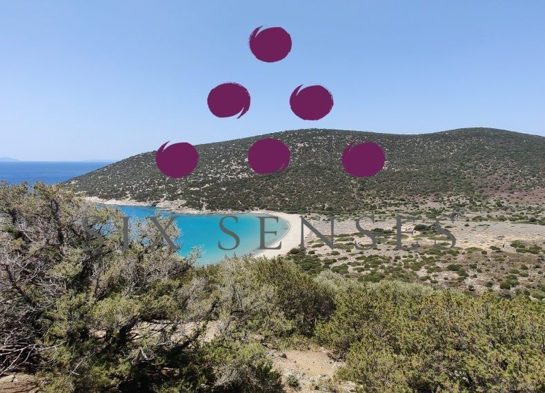 Another view of the area where Six Senses Megalonisos will be build. Photo source: Grivalia Hospitality.