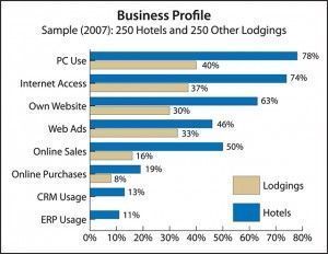 Business Profile Sample (2007): 250 Hotels & 250 Other Lodgings